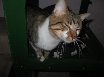 Sammy Bild von Sammy