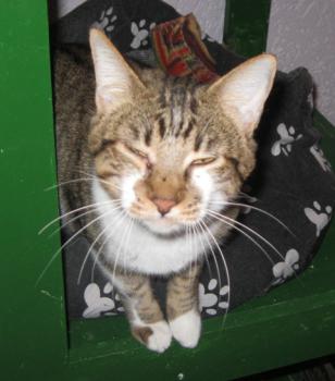 Sammy Bild von Sammy