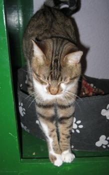 Sammy Bild von Sammy