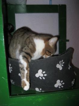 Sammy Bild von Sammy