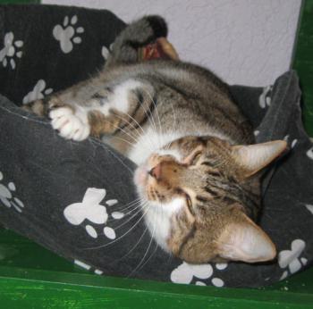 Sammy Bild von Sammy