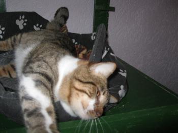 Sammy Bild von Sammy