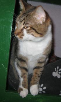 Sammy Bild von Sammy