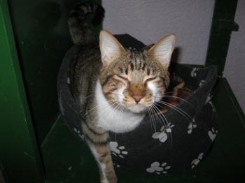 Sammy Bild von Sammy