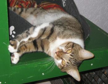 Sammy Bild von Sammy