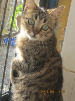 Millila Bild von Millila
