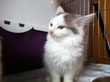 Amilia Bild von Amilia