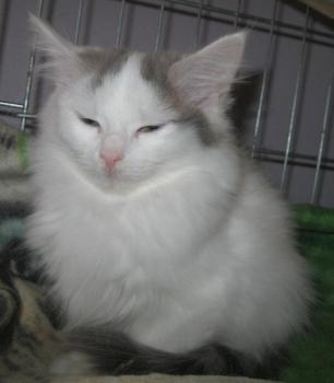 Amilia Bild von Amilia