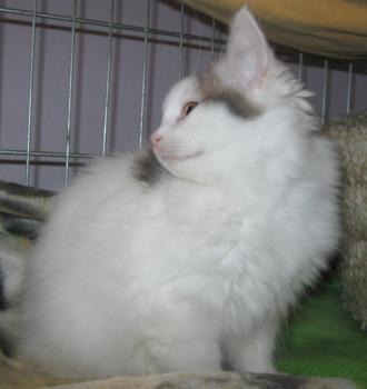 Amilia Bild von Amilia