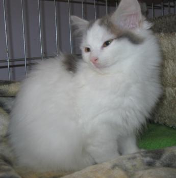 Amilia Bild von Amilia