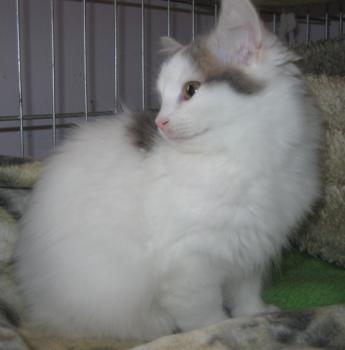 Amilia Bild von Amilia