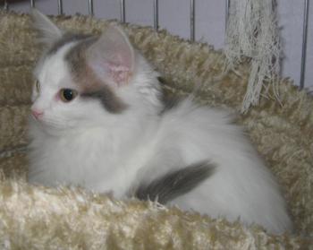 Amilia Bild von Amilia