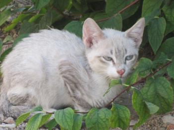 Bubi Bild von Bubi
