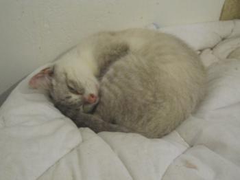 Bubi Bild von Bubi
