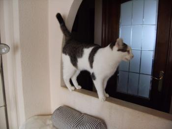 Ricardo Bild von Ricardo