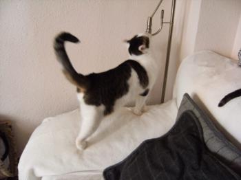 Ricardo Bild von Ricardo