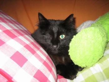 Charly Bild von Charly
