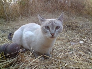 boni Bild von Boni