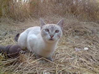 Boni Bild von Boni