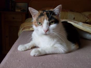 Trixi Bild von Trixi