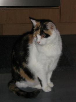 Trixi Bild von Trixi