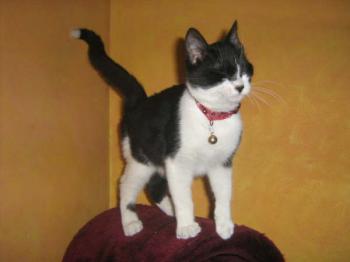 Patty Bild von Patty