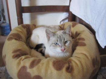 Bubi Bild von Bubi