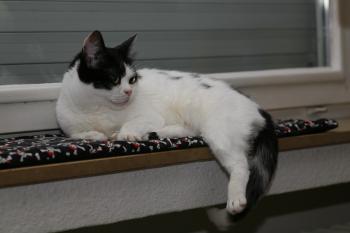 Mitxi Bild von Mitxi