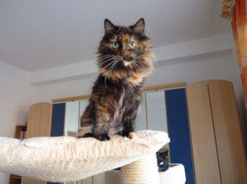 Minnie Bild von Minnie