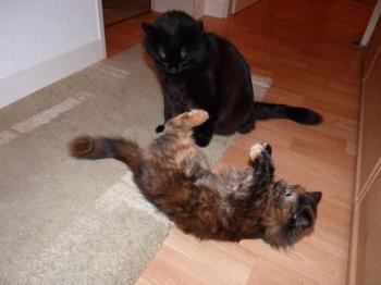 Minnie Bild von Minnie