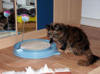 Minnie Bild von Minnie