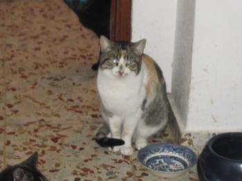 Lotte Bild von Lotte