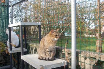 Migoya Bild von Migoya