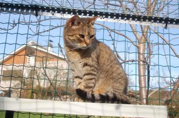 Migoya Bild von Migoya