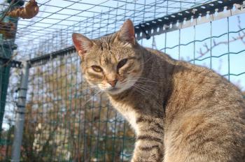 Migoya Bild von Migoya