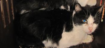 Ohne Namen 4682 Bild von Trixi
