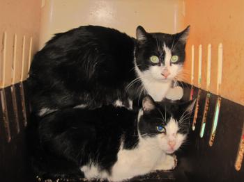 Ohne Namen 4682 Bild von Trixi