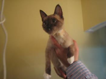 Coco Bild von Coco