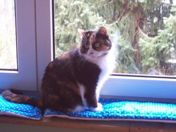 Momo Bild von Momo