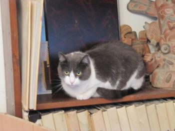 Bild von Vivi
