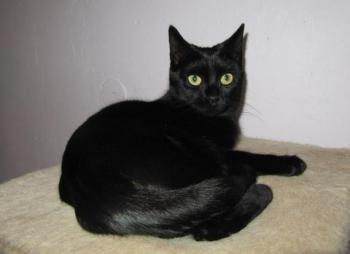 Bild von Lucia