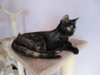 Keiko Bild von Keiko