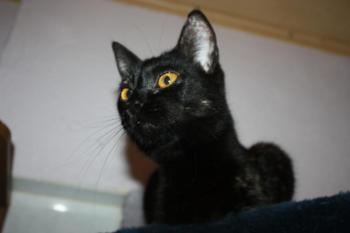 Penny Bild von Penny
