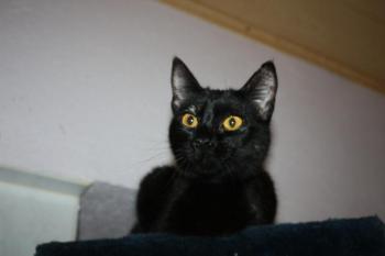 Penny Bild von Penny