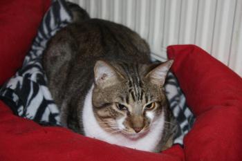 Sammy Bild von Sammy
