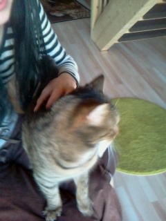 Rasty Bild von Rasty