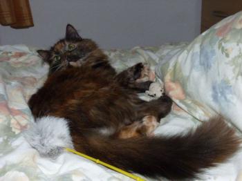 Minnie Bild von Minnie