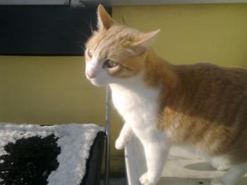 Balu 5221 Bild von Balu 5221