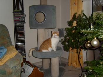 Cloe Bild von Cloe