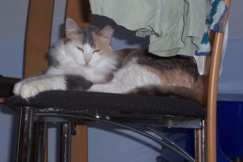 Susi Bild von Susi